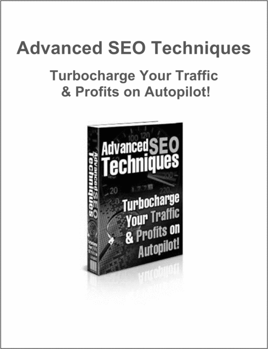 Product picture Advanced SEO Techniques